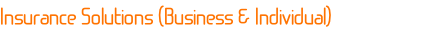 Insurance Solutions (Business & Individual)